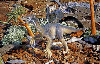 Beipiaosaurus inexpectus by Safari, 2005