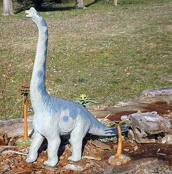 Brachiosaurus altithorax by Safari, 1988