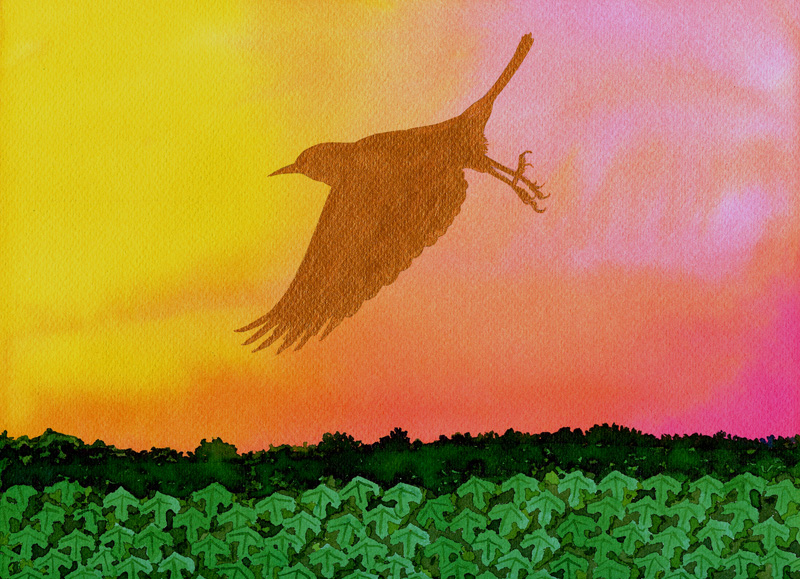 Merlo d'Oro - Versione 2