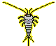 Apterygota